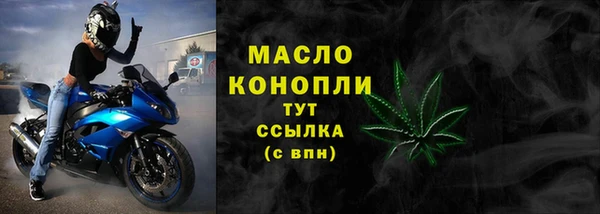гидра Арсеньев