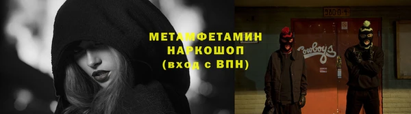 гидра Арсеньев